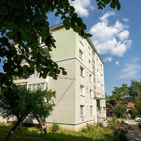 Nya Apartment Sighişoara Buitenkant foto