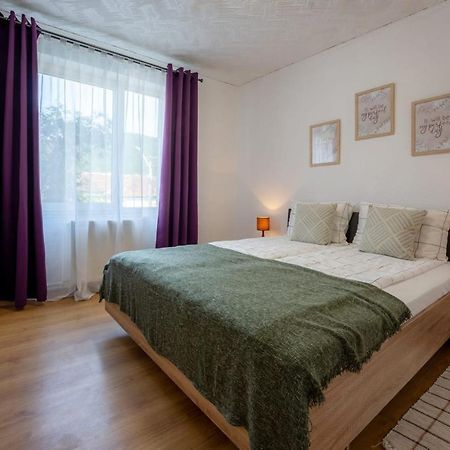 Nya Apartment Sighişoara Buitenkant foto