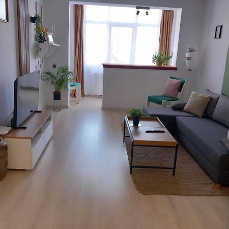 Nya Apartment Sighişoara Buitenkant foto