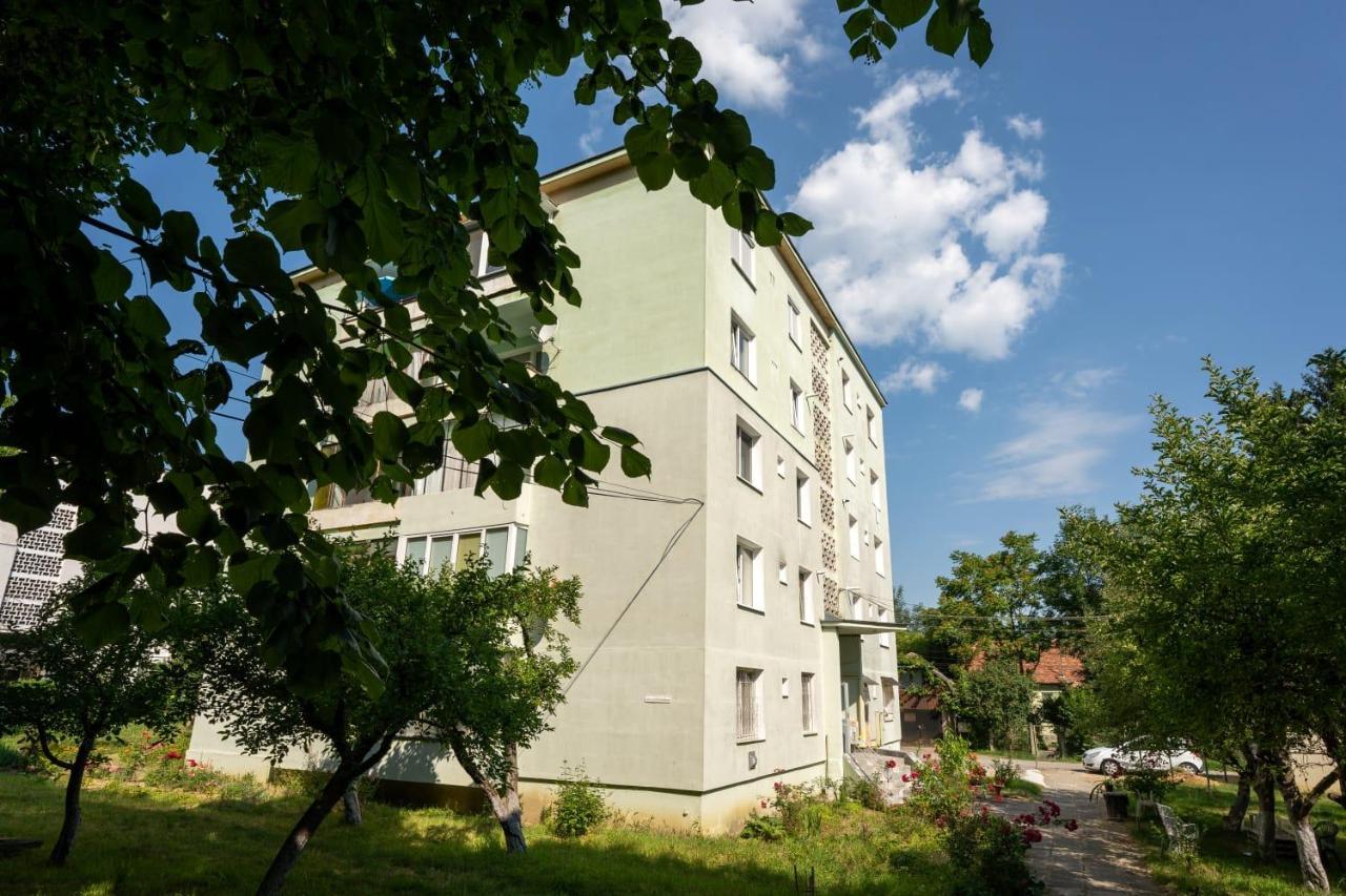 Nya Apartment Sighişoara Buitenkant foto