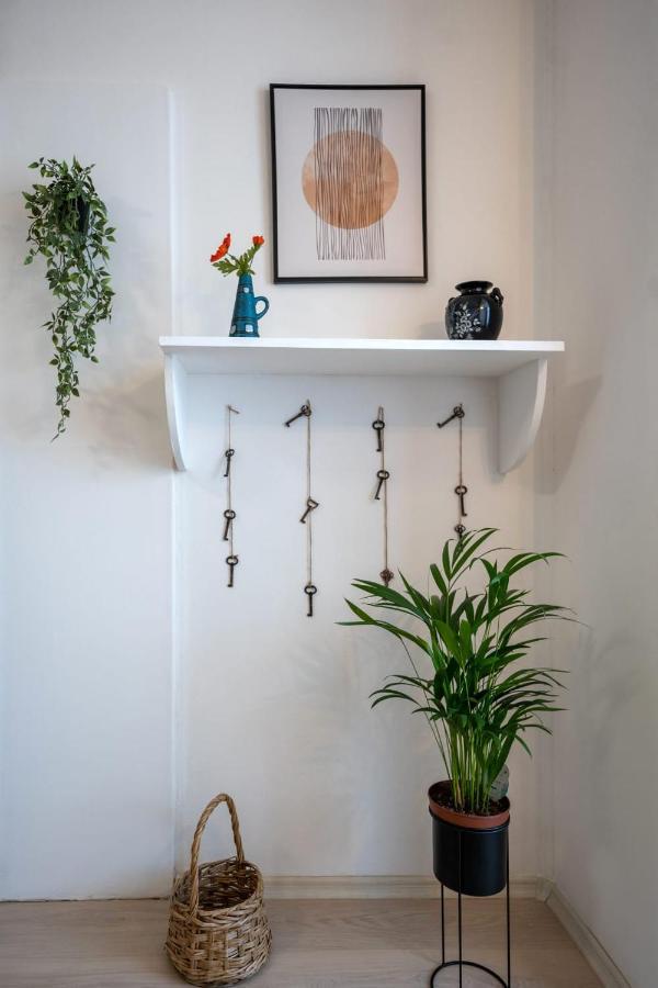 Nya Apartment Sighişoara Buitenkant foto