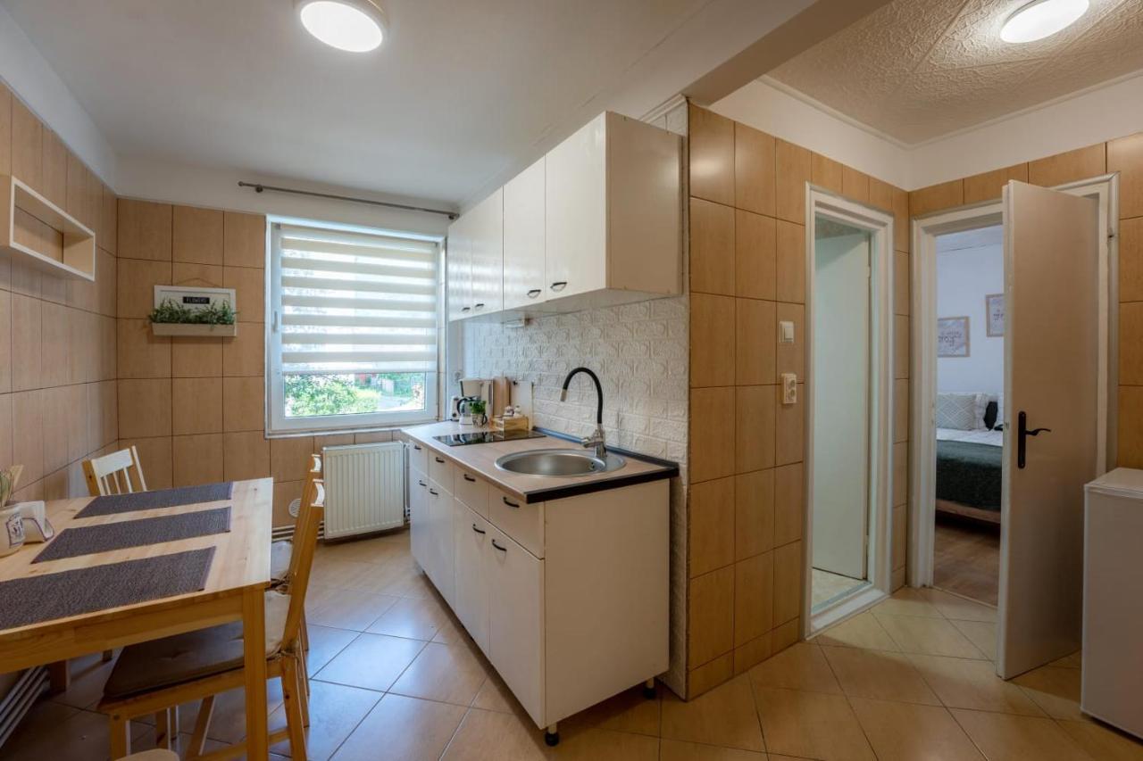 Nya Apartment Sighişoara Buitenkant foto